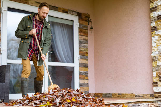 Debris Removal in Mount Sinai, NY